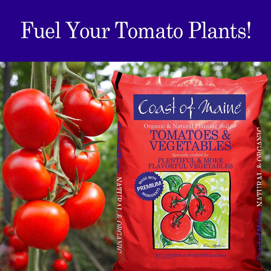 Coast of Maine™ Organic Planting Soil for Tomatoes & Vegetables
