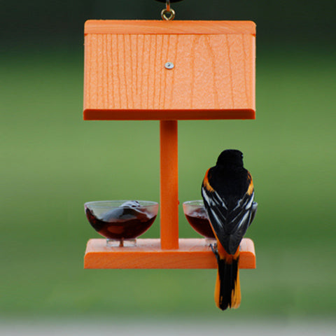 WOODLINK Going Green Oriole Feeder with Jelly Jars