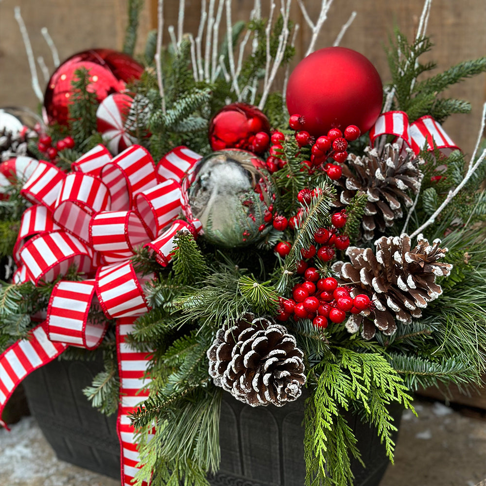 Holiday Cheer Planter Workshop