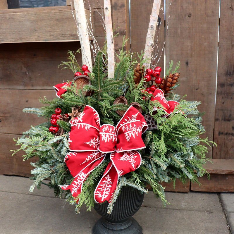 Winter Birch Bliss Fresh Planter Workshop (Red Ribbon)