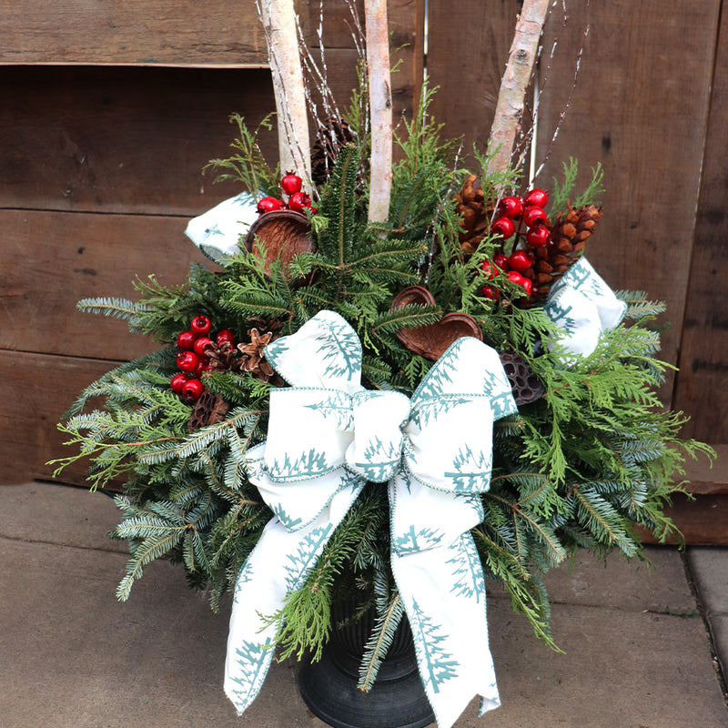 Winter Birch Bliss Fresh Planter Workshop (White Ribbon)