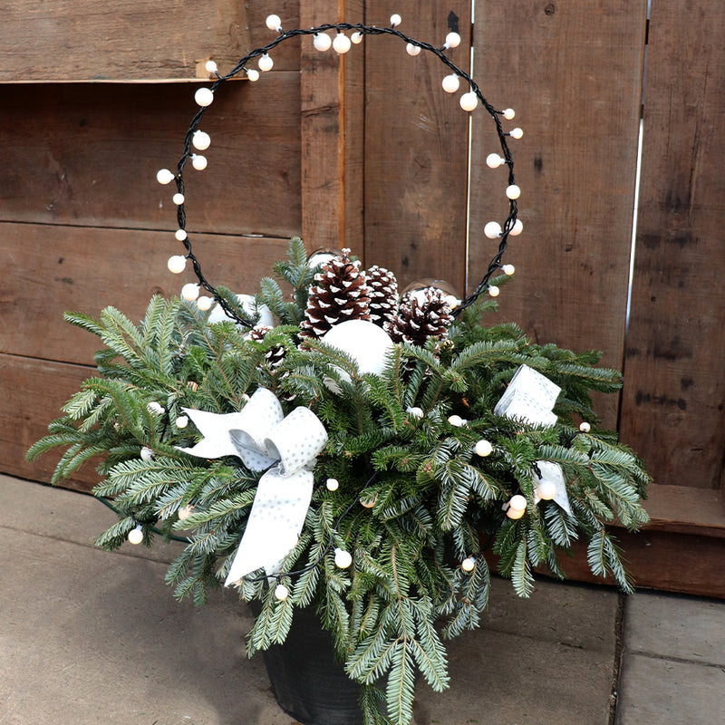 Moonlit Radiance Fresh Planter Workshop