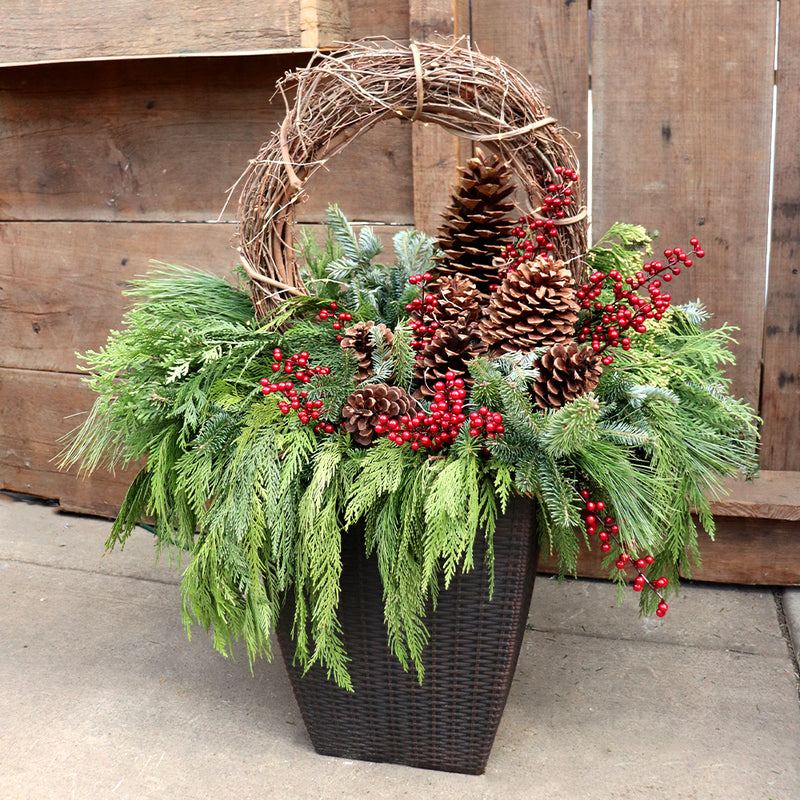Northern Glow Fresh Planter Workshop