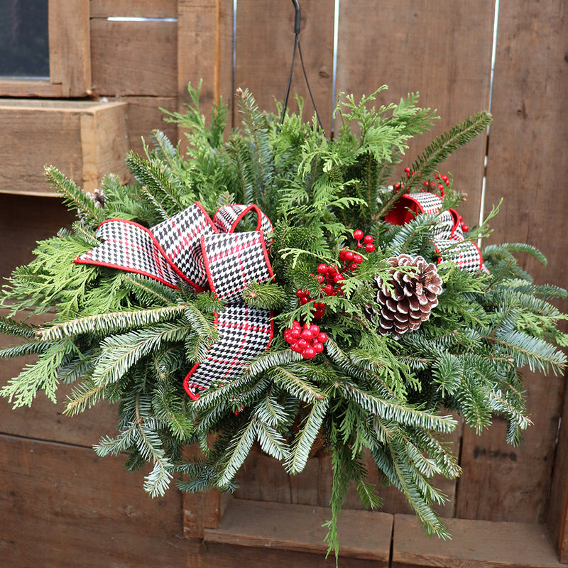 Fresh Hanging Basket Workshop