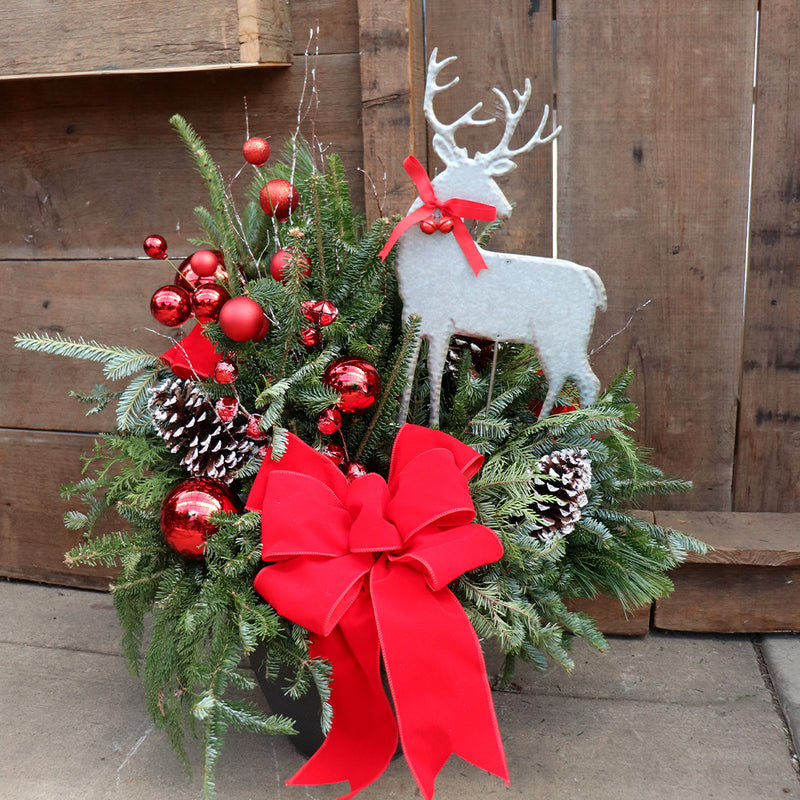 Evergreen Encounter Fresh Planter Workshop