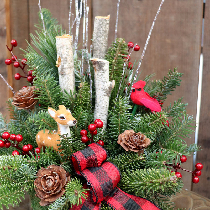 Fresh Merry Christmas Tin Indoor Arrangement Workshop