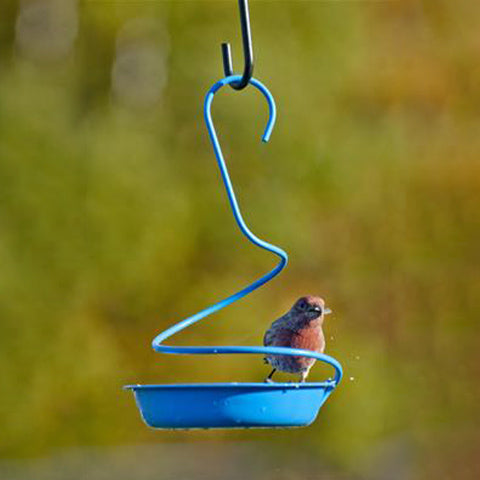 WOODLINK Metal Mealworm Feeder