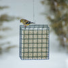 Mr. Bird NeatFeeder XL