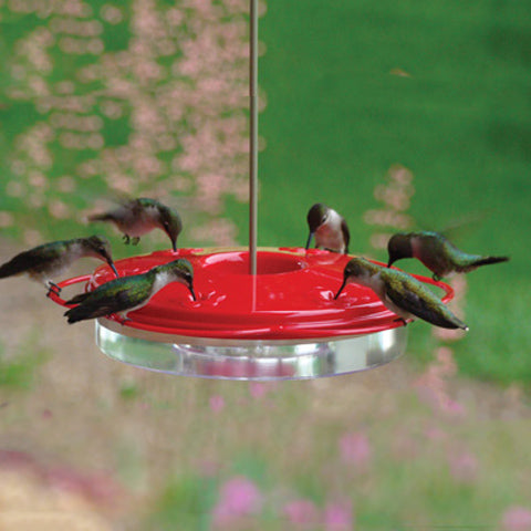 WOODLINK Hummingbird Feeder