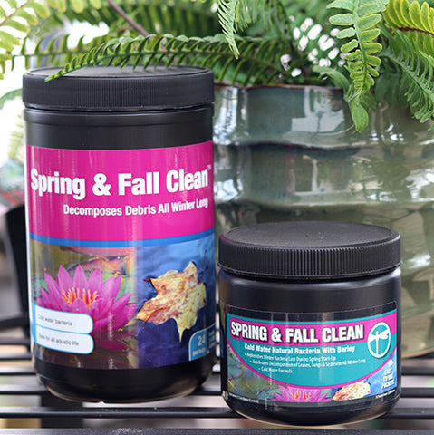 PondBuilder Spring & Fall Clean Bacteria