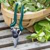 Burgon & Ball Professional Compact Bypass Secateur- RHS Endorsed