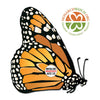 Monarch Butterfly for Release - September 9th
