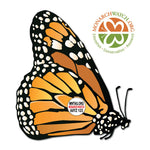 Monarch Butterfly for Release - September 9th
