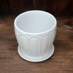 White Scalloped Ceramic Planter