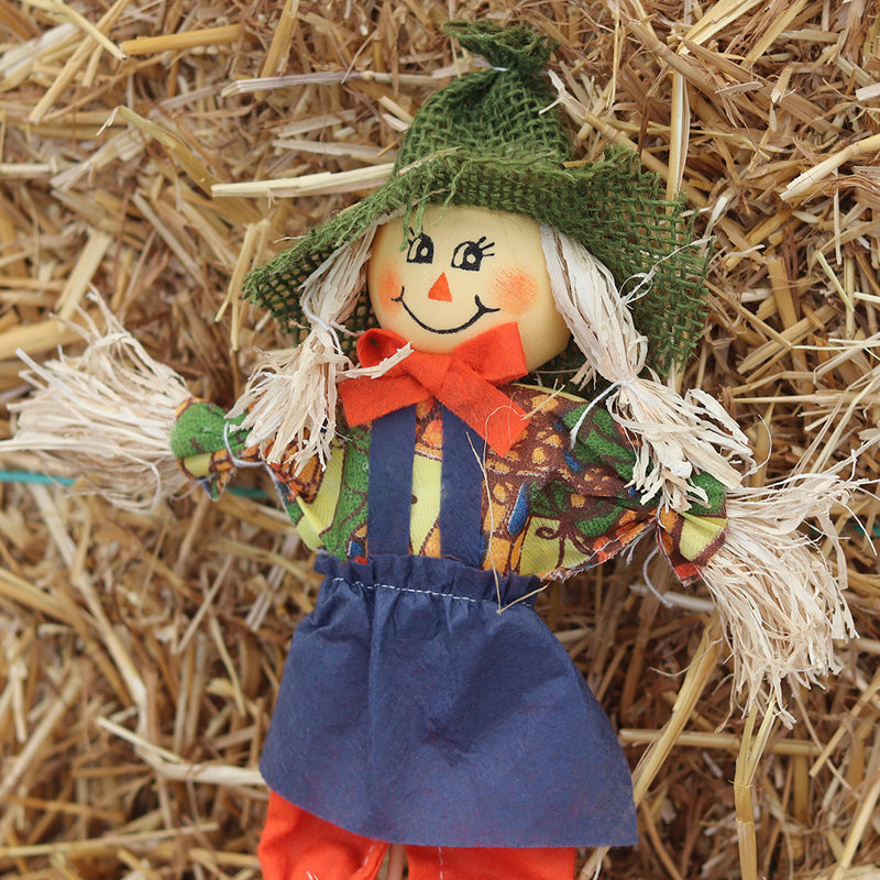Small Scarecrow