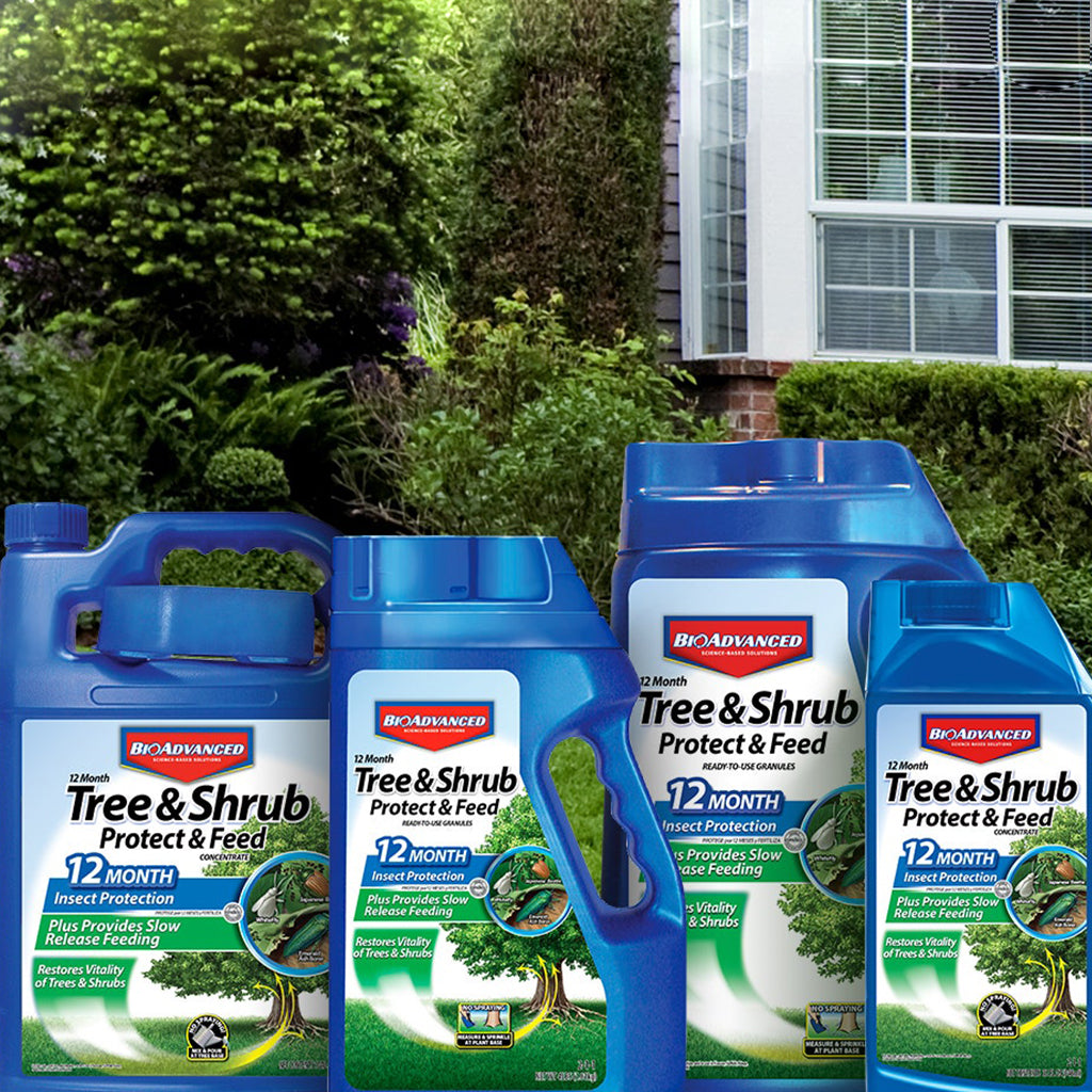BioAdvanced® Tree and Shrub - Protect & Feed – Ray Wiegand's Nursery ...