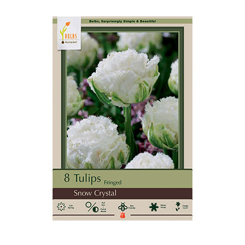 Tulip Snow Crystal