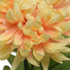 Chrysanthemum Faux Floral Spray