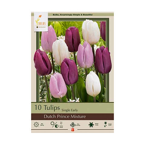 Tulip Dutch Prince Mixture