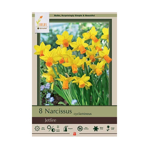 Narcissus Jetfire