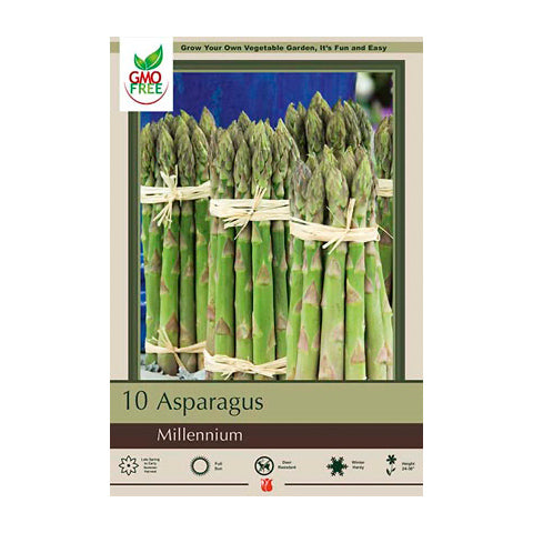 Asparagus Millennium