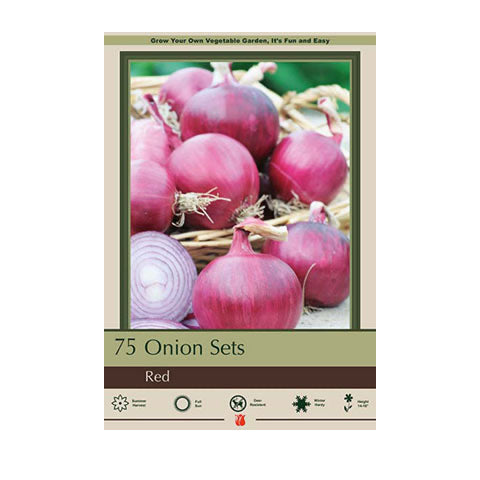 North American Onion Sets Red